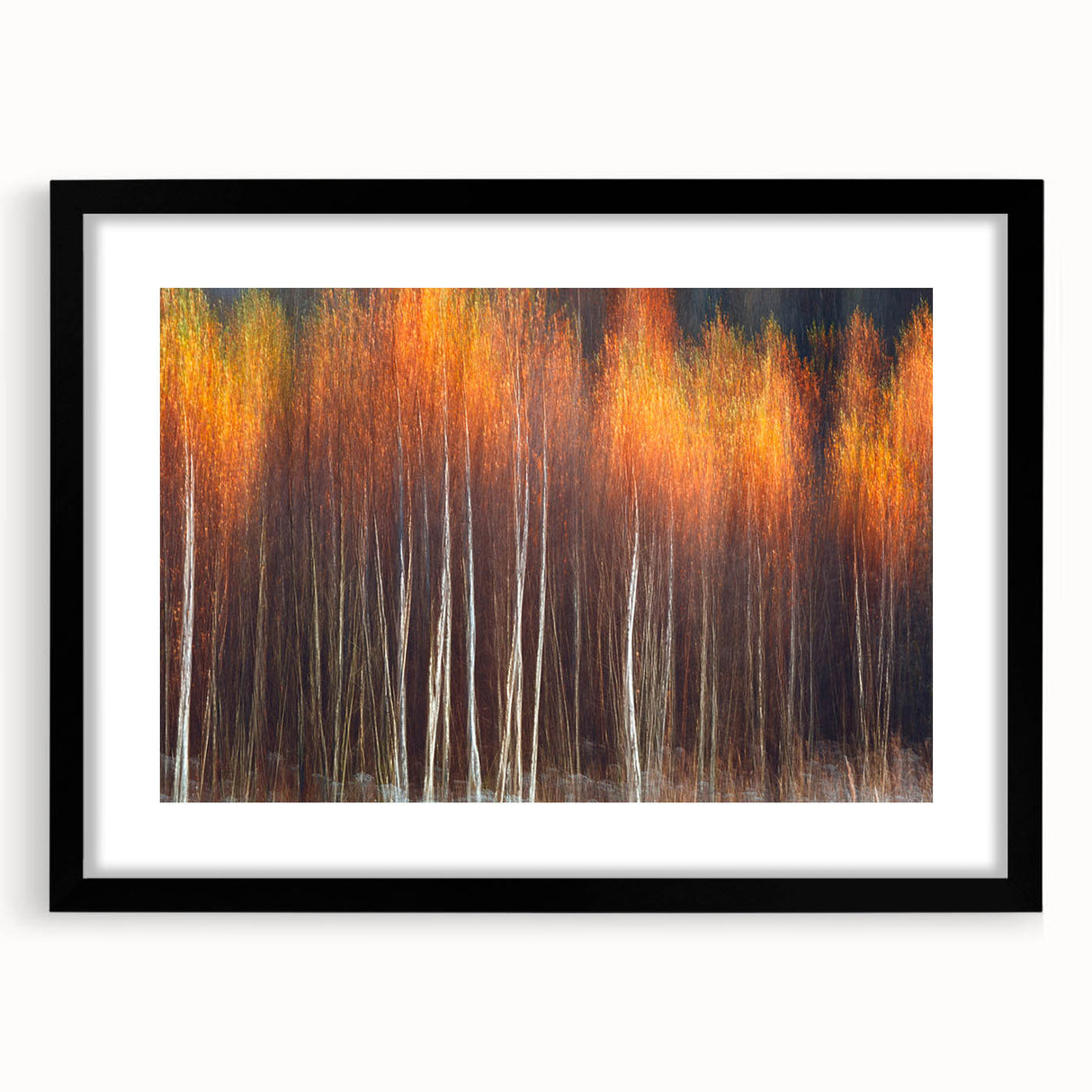 Framed botanical wall art featuring a vibrant floral design with intricate details, set in a sleek black frame and mat, ideal for home decor enhancement.