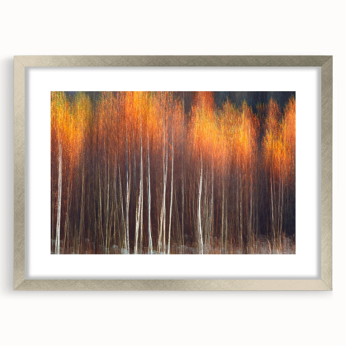Framed botanical wall art design showcasing colorful flowers and trees, set in a sleek silver frame with a white mat, perfect for home decor enhancement.