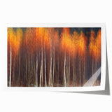 Botanical wall art print featuring intricately designed flowers and trees in vibrant colors, rolled and ready for framing, perfect for home decor enthusiasts.