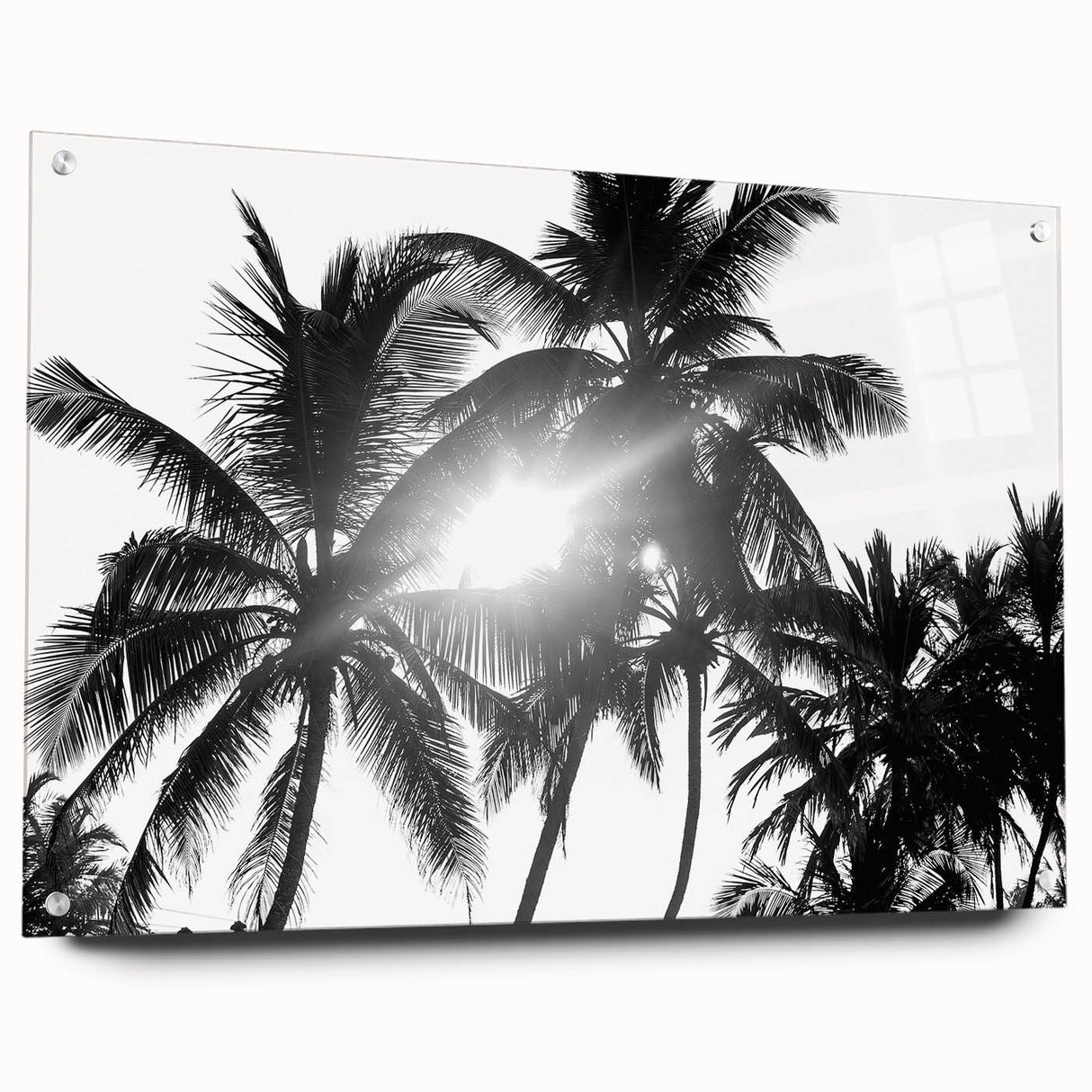 Acrylic glass wall art collection showcasing a botanical tree design in vibrant colors, mounted with pins for display, ideal for nature-inspired decor.