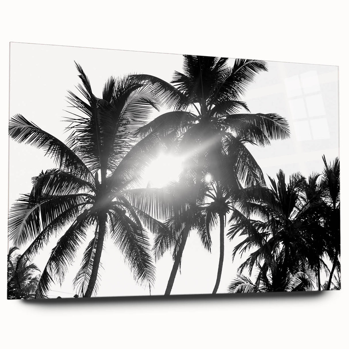 Vibrant botanical wall art design featuring an array of colorful flowers and trees, displayed in a sleek acrylic glass frame from the collection. Perfect for modern decor.