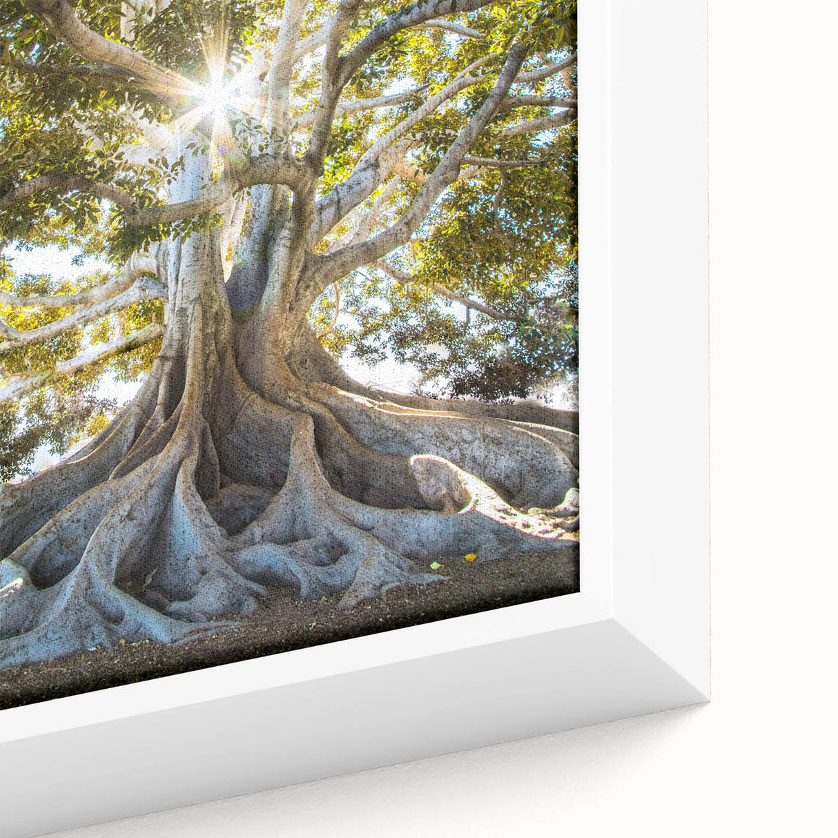 Close-up of a framed botanical wall art collection featuring vibrant flowers and trees, displayed in a modern setting, perfect for home decor enthusiasts.
