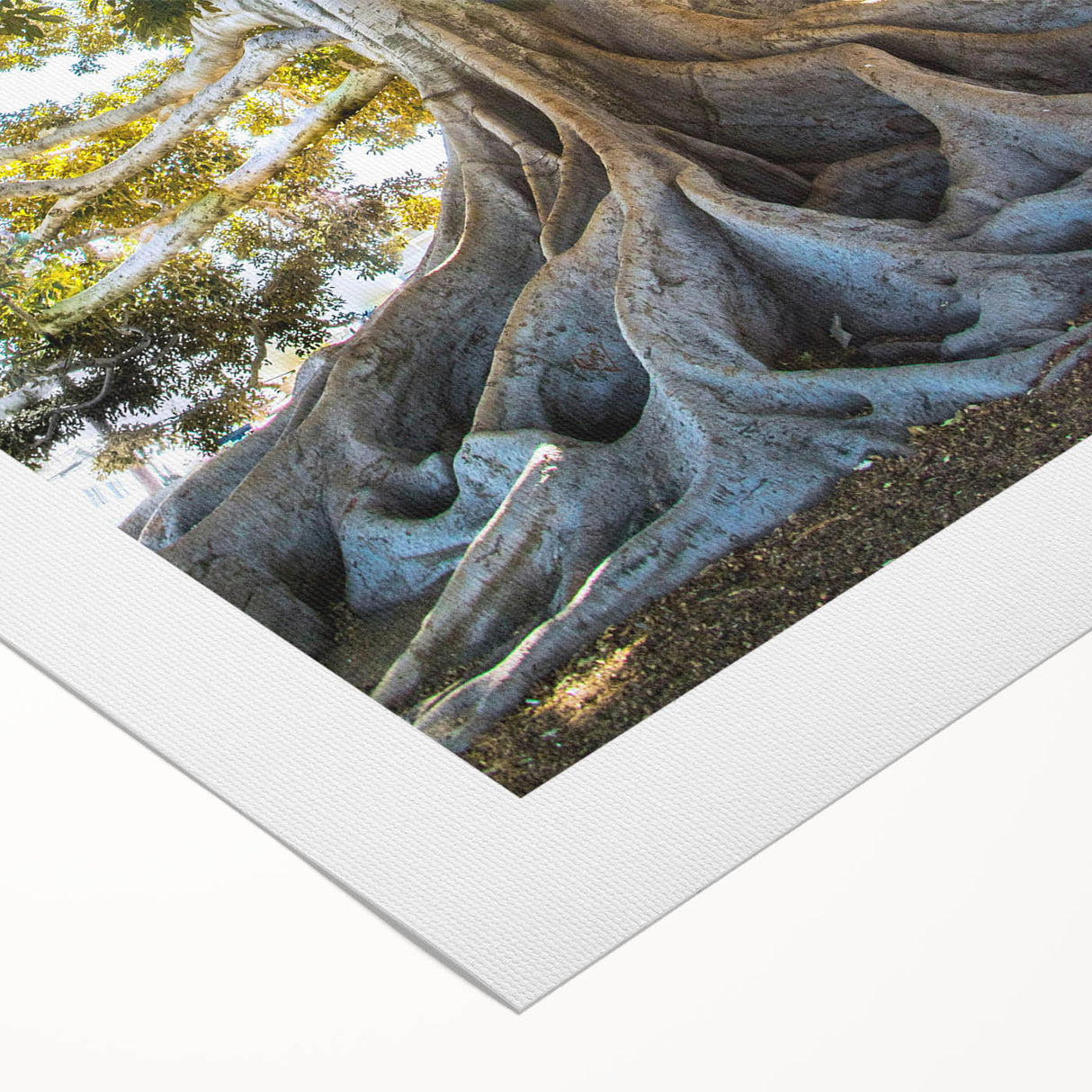 Colorful botanical tree wall art on rolled canvas, showcasing intricate floral designs and vibrant hues, perfect for enhancing home decor and adding a natural touch.