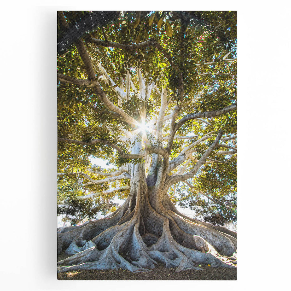 Vibrant stretched canvas wall art featuring a botanical design with colorful flowers and trees, perfect for enhancing home decor and adding a natural touch.