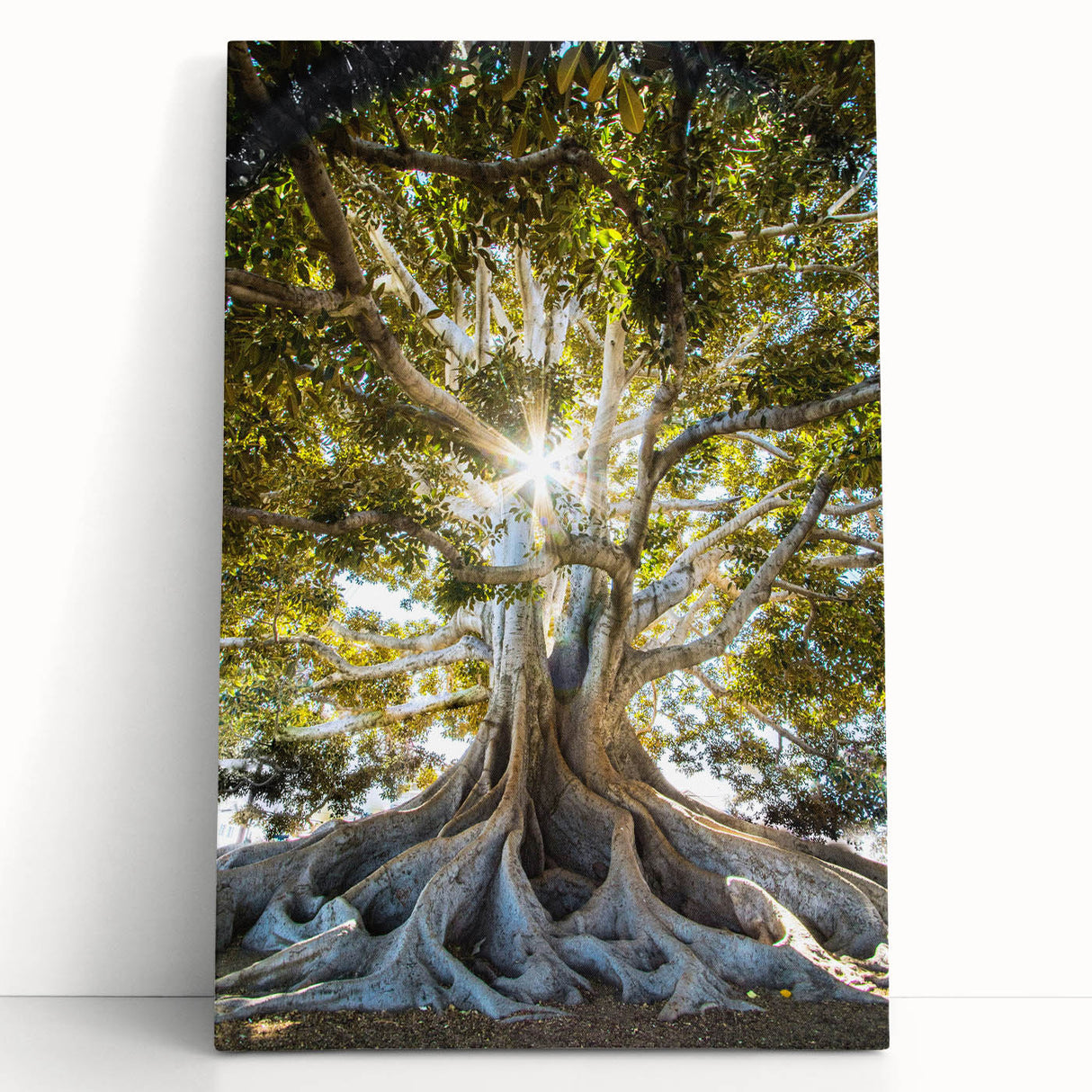 Stretched canvas art showcasing a vibrant botanical design featuring colorful flowers and greenery, ideal for home decor or gallery walls.
