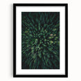 Botanical wall art collection featuring framed floral and tree designs in a sleek black frame, perfect for home decor. Ideal for nature enthusiasts and art lovers.