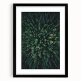 Botanical wall art collection featuring framed floral and tree designs in a sleek black frame, perfect for home decor. Ideal for nature enthusiasts and art lovers.