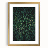 Botanical wall art collection featuring a gold-framed design of colorful flowers and trees, elegantly matted for a sophisticated look, perfect for home decor.