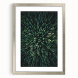 Botanical wall art collection featuring a silver-framed design with a mat, showcasing vibrant flowers and trees, perfect for enhancing home decor aesthetics.