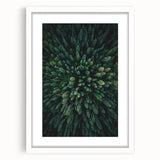 Floral-themed wall art collection featuring botanical tree designs, elegantly framed with a white mat, designed to enhance home decor with natural beauty.