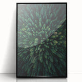Framed botanical wall art collection featuring vibrant flowers and trees in a sleek black frame, ideal for enhancing interior decor with a nature-inspired touch.