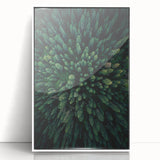 Framed wall art collection showcasing a botanical design featuring vibrant flowers and trees in acrylic, set against a clean white background, perfect for home decor.