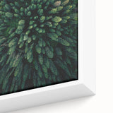 Close-up of a framed botanical wall art collection showcasing vibrant flowers and intricate tree designs on canvas, perfect for enhancing home decor with natural elegance.