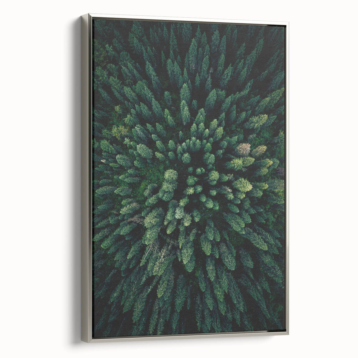 Framed wall art showcasing a botanical tree design with vibrant flowers, presented in a sleek silver frame. Ideal for adding elegance to home decor.