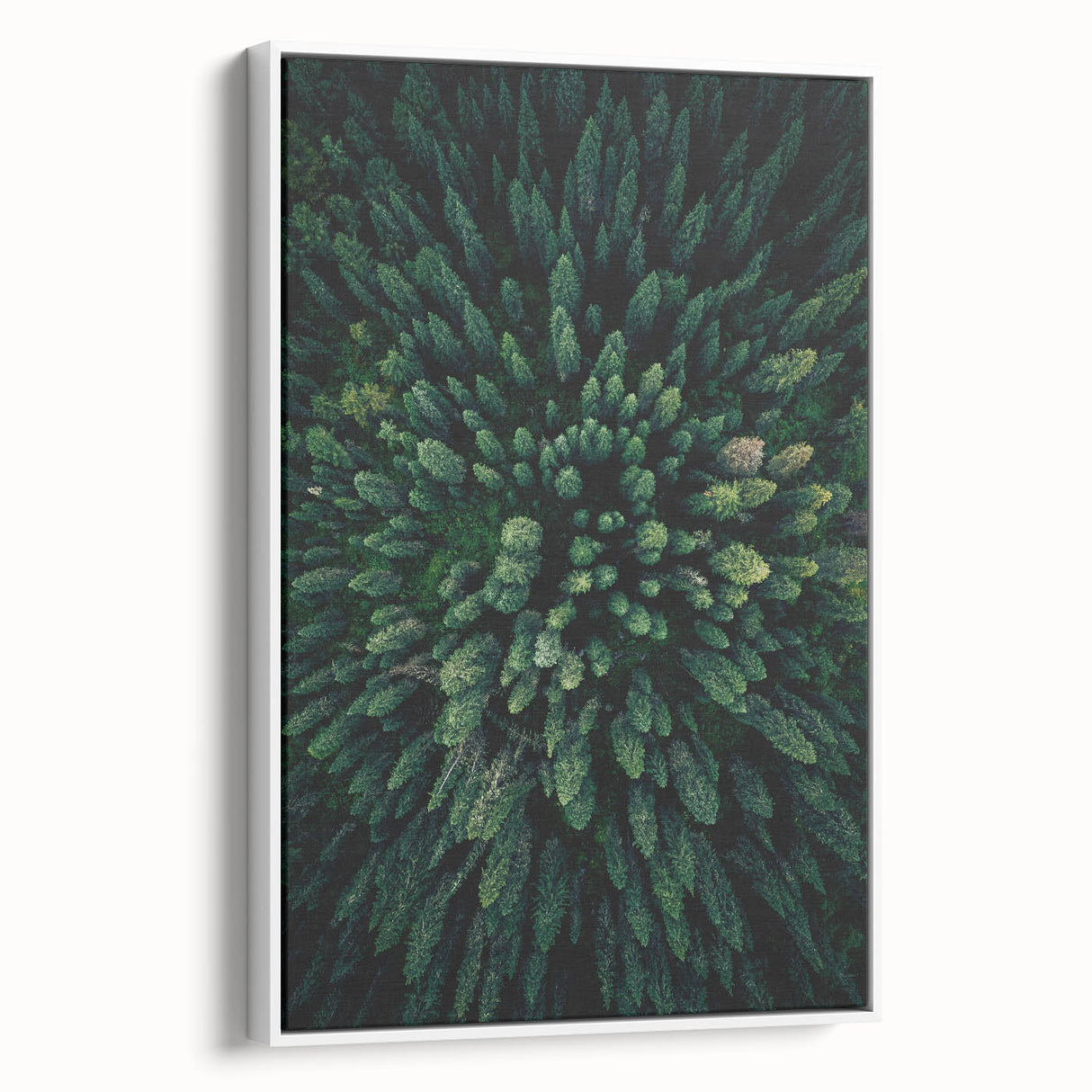 Framed canvas wall art featuring a botanical design of vibrant flowers and trees, displayed in a sleek white frame, showing a side view for depth and elegance.