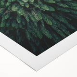 Botanical wall art collection featuring vibrant flowers and trees, printed on rolled canvas with a textured finish, ideal for home decor enhancement.