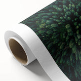 Botanical wall art collection showcasing vibrant, detailed floral and tree designs printed on high-quality rolled canvas, perfect for home decor enhancement.