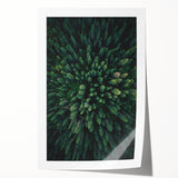 Botanical wall art collection showcasing vibrant flowers and trees, printed on high-quality rolled canvas, ideal for home decor or artistic displays.