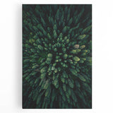Stretched canvas showcasing a vibrant botanical design of flowers and trees, perfect for home decor, featuring rich colors and detailed artwork, ideal for nature lovers.