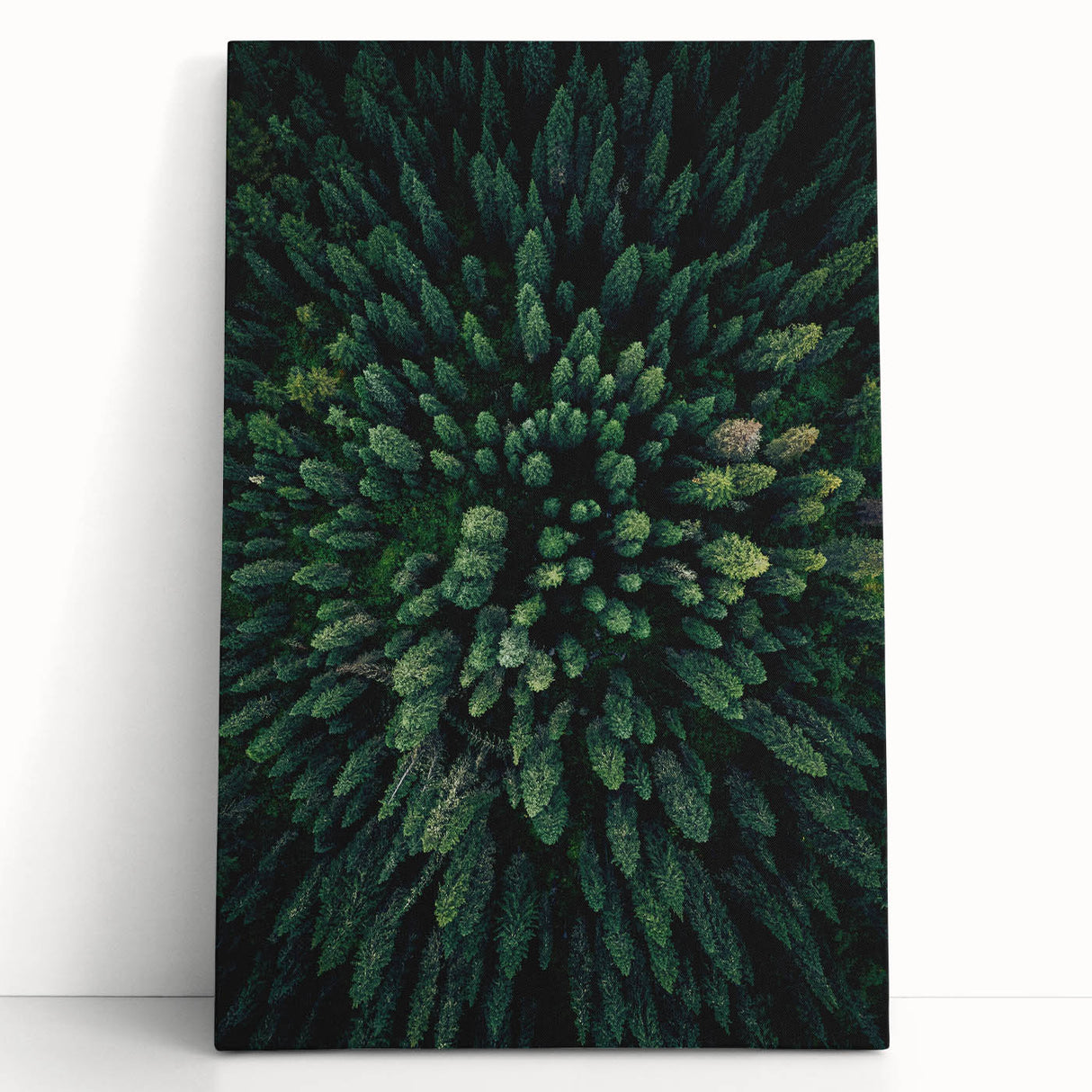 Stretched canvas wall art showcasing a vibrant botanical design featuring colorful flowers and trees, elegantly leaning against a wall in a modern decor setting.