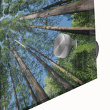 Close-up view of a botanical wall art collection featuring vibrant floral designs on acrylic glass, showcasing intricate details and vivid colors, perfect for home decor.