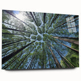 Acrylic glass wall art showcasing a botanical design of vibrant flowers and trees, elegantly displayed in a side view without pins, perfect for home decor.