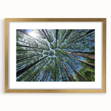 Elegant wall art collection featuring botanical tree designs in muted colors, framed with a gold mat, perfect for enhancing home décor with a natural touch.