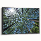 Framed wall art collection featuring botanical trees and colorful flowers on a black background, showcasing intricate details and vibrant hues in a stylish side view.