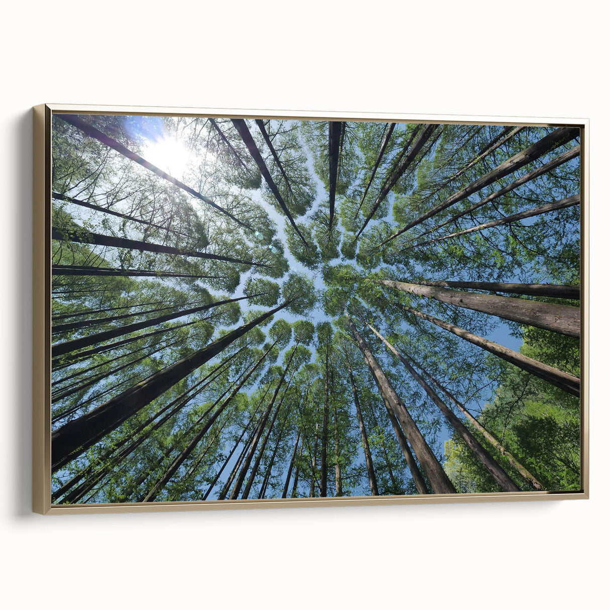 Framed botanical wall art collection featuring vibrant floral and tree designs, set against a gold backdrop, perfect for enhancing home decor aesthetics.