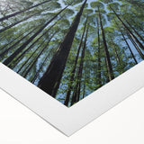 Vibrant rolled canvas depicting a botanical tree design with colorful flowers, ideal for home decor, showcasing intricate details and natural beauty.