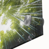 Close-up of a vibrant acrylic glass wall art piece showcasing a botanical design of colorful flowers and trees, ideal for enhancing home decor with nature-inspired aesthetics.