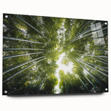 Acrylic wall art collection showcasing a botanical trees design, featuring vibrant floral elements and an elegant side view display with pins for easy mounting.