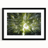 Botanical wall art collection featuring elegant flower and tree designs in a sleek black frame with matting, perfect for home decor enhancement.