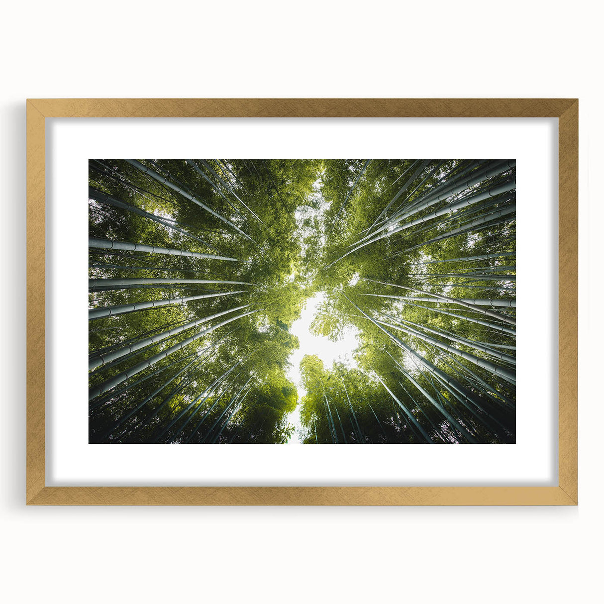 Elegant botanical wall art collection featuring framed prints of trees and flowers in gold frames, showcasing a sophisticated design for home decor. Perfect for nature-inspired interiors.