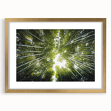 Elegant botanical wall art collection featuring framed prints of trees and flowers in gold frames, showcasing a sophisticated design for home decor. Perfect for nature-inspired interiors.