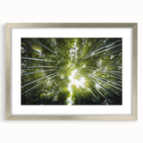 Framed botanical wall art collection showcasing vibrant floral designs in a silver frame with a mat, ideal for home decor and nature enthusiasts.