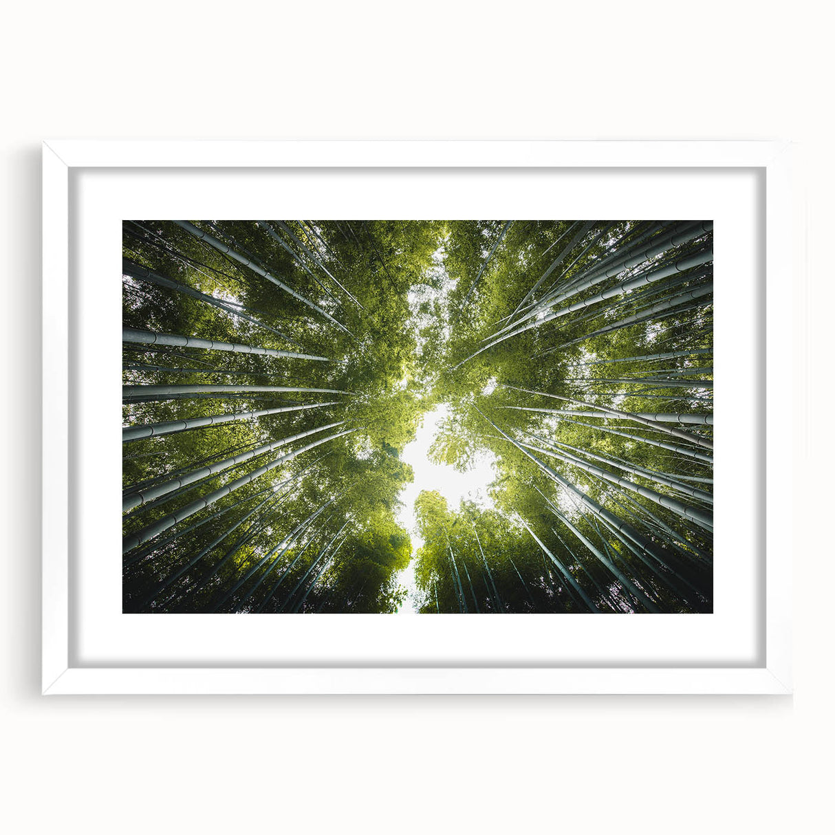 Framed botanical wall art collection featuring vibrant floral and tree designs in a white mat and frame, ideal for enhancing home decor with nature-inspired aesthetics.