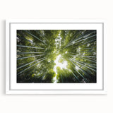 Framed botanical wall art collection featuring vibrant floral and tree designs in a white mat and frame, ideal for enhancing home decor with nature-inspired aesthetics.