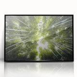 Framed botanical wall art featuring a collection of colorful flowers and trees, set against a black background, ideal for home decor and nature enthusiasts.