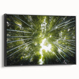 Framed botanical wall art collection featuring vibrant flower and tree designs, set against a sleek black background, showcased from a side view. Perfect for enhancing home decor.