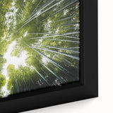 Close-up view of a framed canvas wall art collection featuring detailed botanical illustrations of colorful flowers and trees, enhancing home decor with nature-inspired elegance.