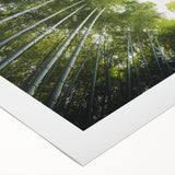 Rolled canvas showcasing a vibrant botanical tree design with colorful flowers and intricate details, ideal for home decor and art enthusiasts. Perfect for enhancing any living space.