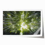 Botanical wall art print featuring a vibrant collection of flowers and trees, showcasing intricate details and colors, rolled and designed for easy display.