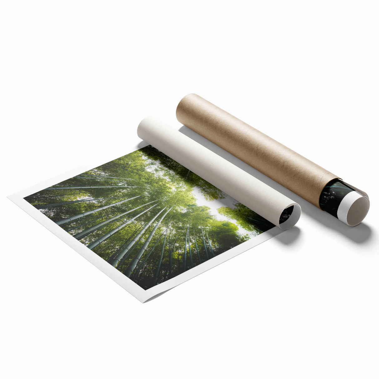Botanical wall art collection featuring vibrant floral and tree designs on a rolled print, showcasing intricate details and rich colors, perfect for home decor.