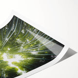 Botanical wall art print showcasing vibrant flowers and trees in an elegant design. Rolled and packaged in a protective tube, ideal for home decor enhancement.