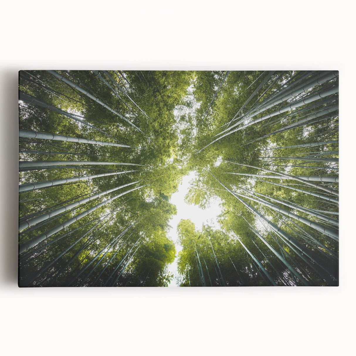 Stretched canvas wall art featuring a vibrant botanical design with colorful flowers and trees, perfect for adding a natural touch to home decor.