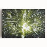 Stretched canvas wall art featuring a vibrant botanical design with colorful flowers and trees, perfect for adding a natural touch to home decor.