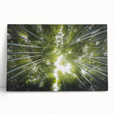 Colorful botanical wall art collection featuring various flowers and trees on stretched canvas, leaning against a neutral wall, adding a vibrant touch to home decor.