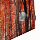 Close-up of a vibrant botanical wall art design featuring colorful flowers and trees, printed on acrylic glass, perfect for enhancing home decor.