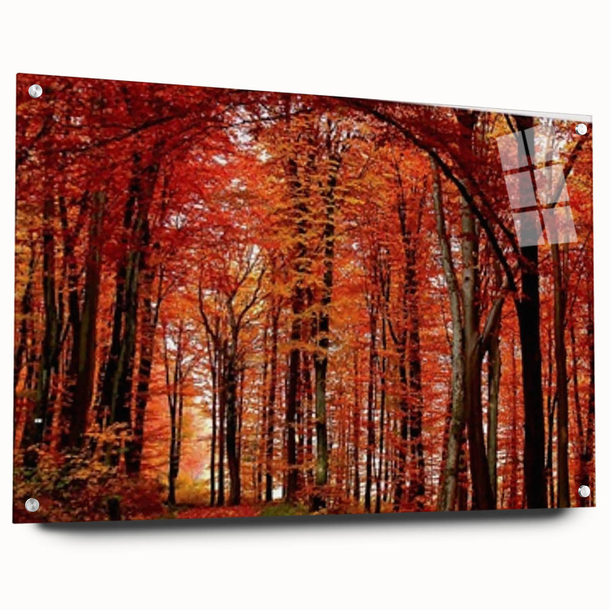 Elegant wall art collection showcasing a botanical design of flowers and trees, displayed in a side view with acrylic glass, highlighting intricate details and vibrant colors. Perfect for enhancing home decor with a natural touch.